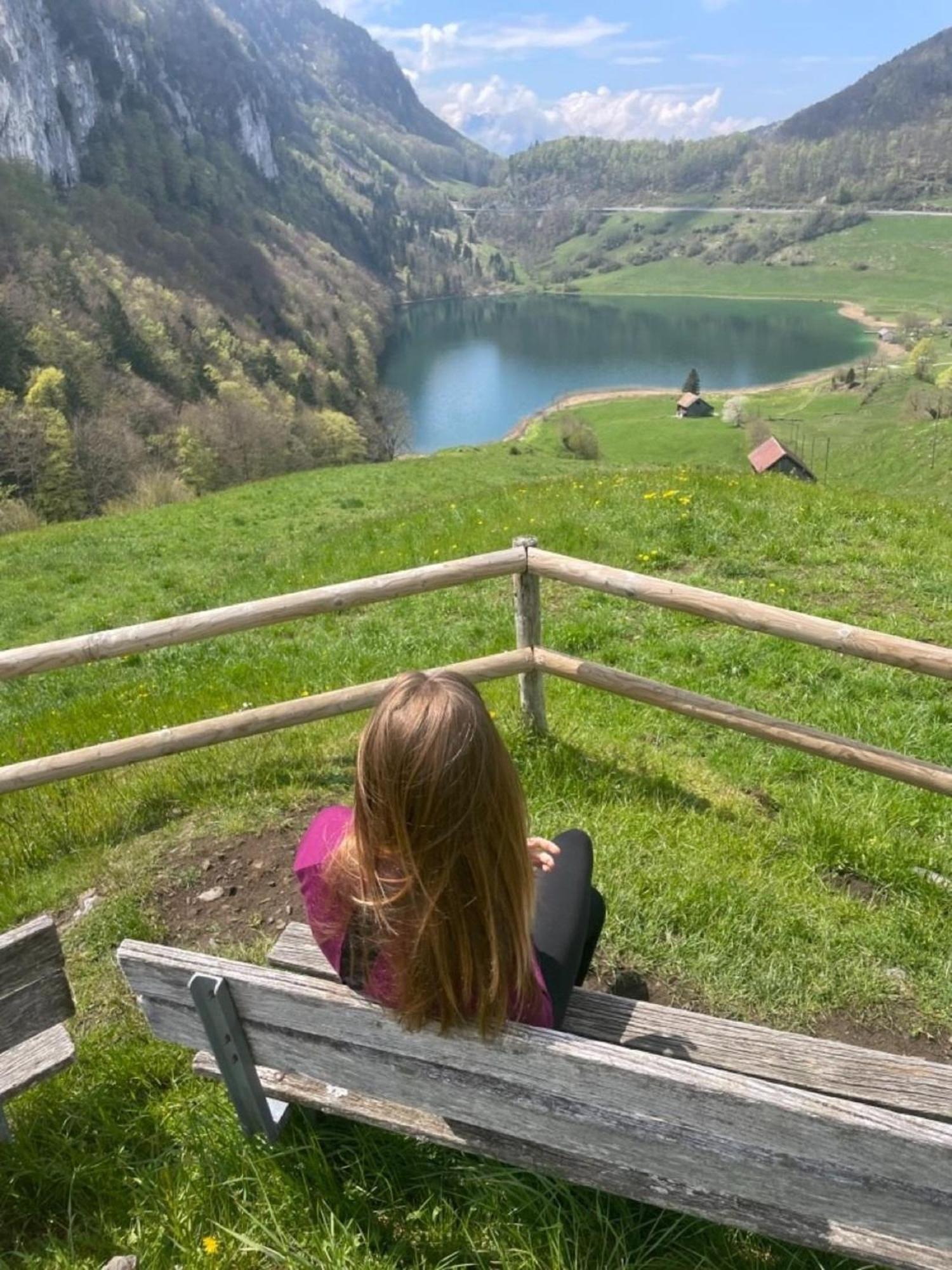 Lakehill72 Seelisberg Esterno foto